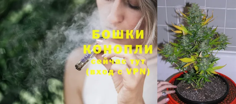 хочу   Богородицк  Бошки Шишки LSD WEED 